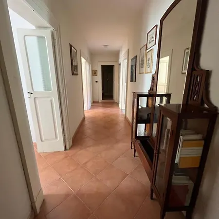 Delfini Dei Due Mari